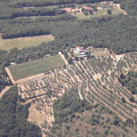 咔莫里诺住宿加早餐旅馆 维罗纳 外观 照片